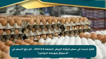 قفزة جديدة في سعر كرتونة البيض الجمعة 8-8-2025.. كم بلغ السعر في الأسواق وبورصة الدواجن؟